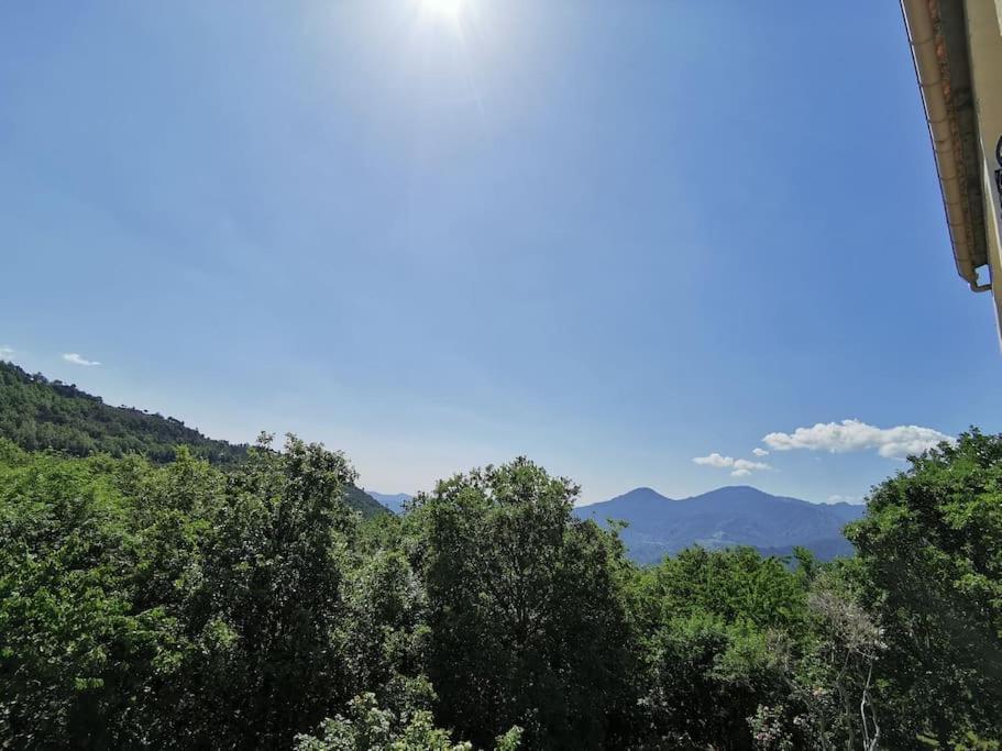 Appartement 2 Ou 4 Personnes. Venaco Venaco  Bagian luar foto