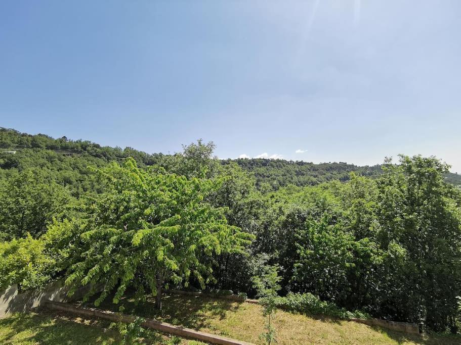 Appartement 2 Ou 4 Personnes. Venaco Venaco  Bagian luar foto