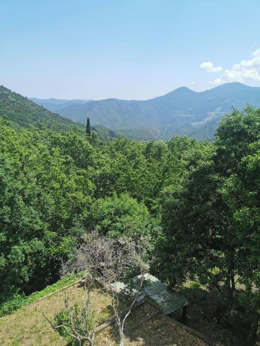 Appartement 2 Ou 4 Personnes. Venaco Venaco  Bagian luar foto